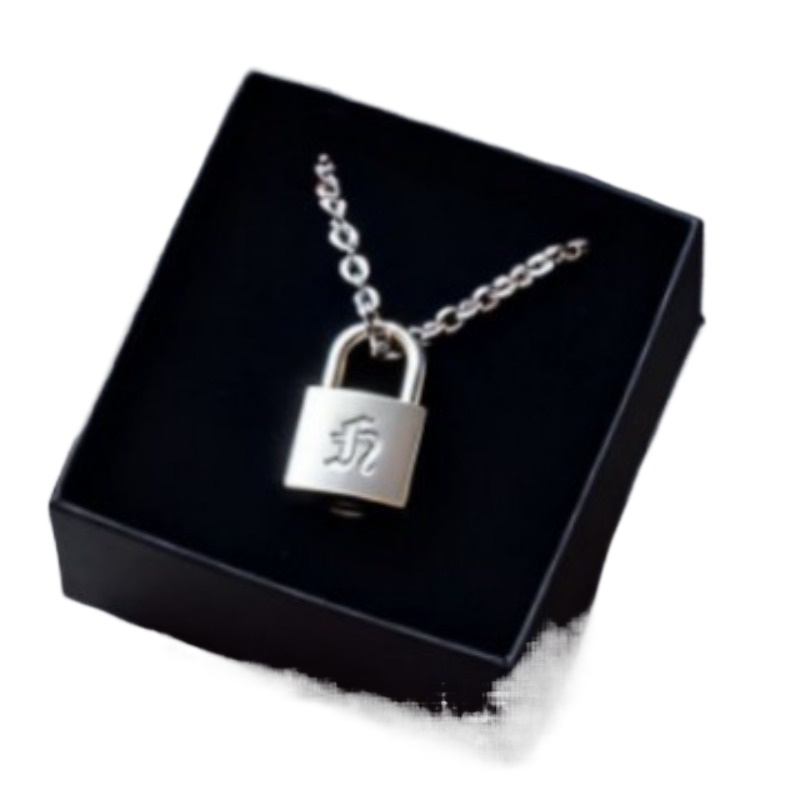 Smooth Matte Finish Metal Lock - Vintage Fashion Necklace recensione e prezzo